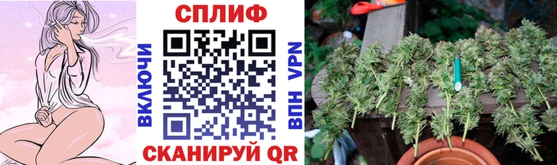купить закладку  Чапаевск  Бошки Шишки OG Kush 
